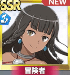 【双剣の踊り子】ティオネ・ヒリュテ