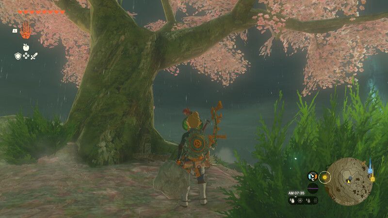 ハイラル平原の桜の木