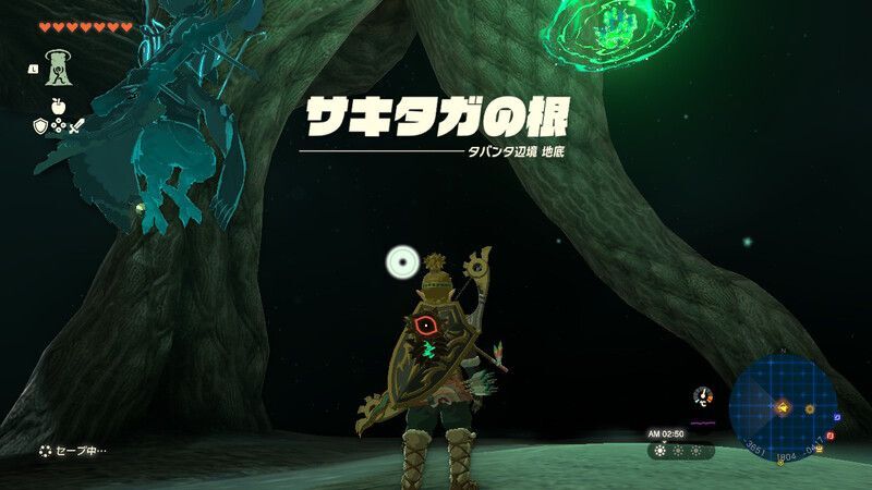 サキタガの根