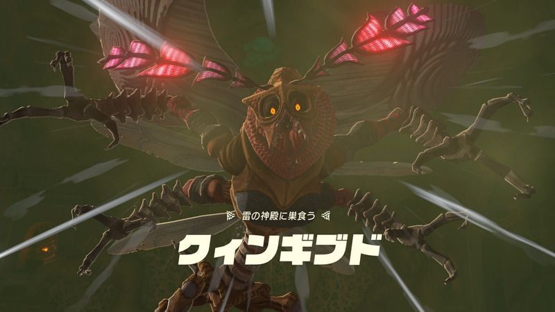 クィンギブト戦