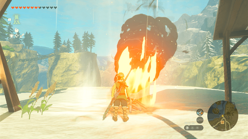 ハイラルボックリ