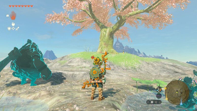 ハテール地方の桜の木