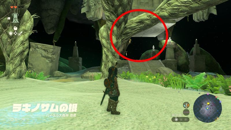 ラキノサムの根