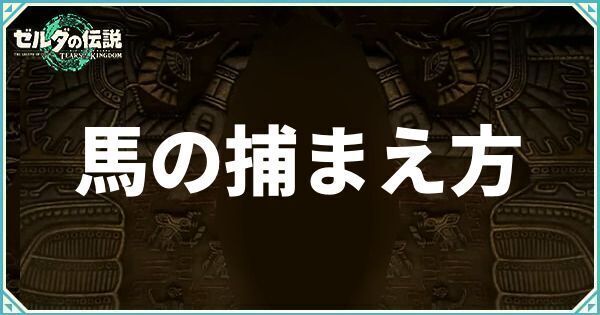 馬の捕まえ方