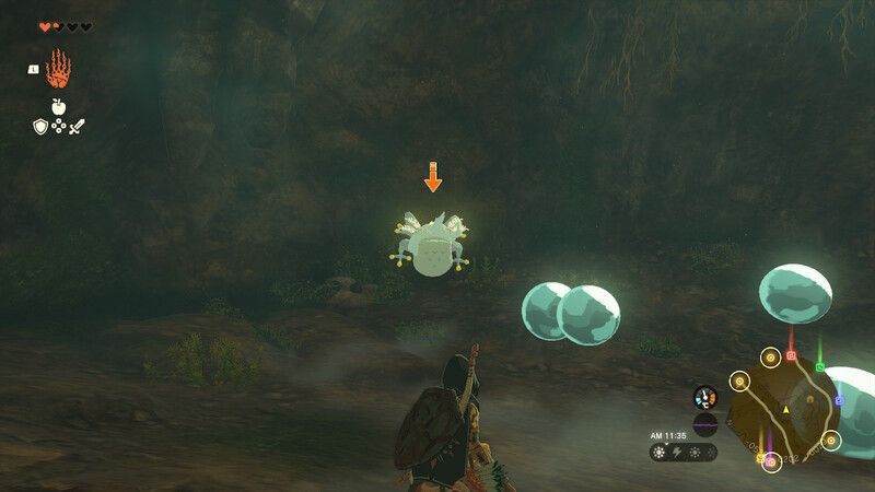 洞窟内のマヨイ