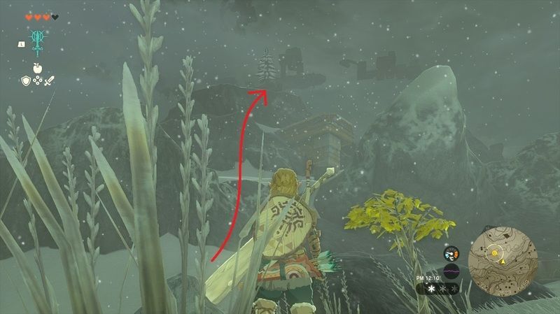 洞窟を抜けた先の一本杉に向かう