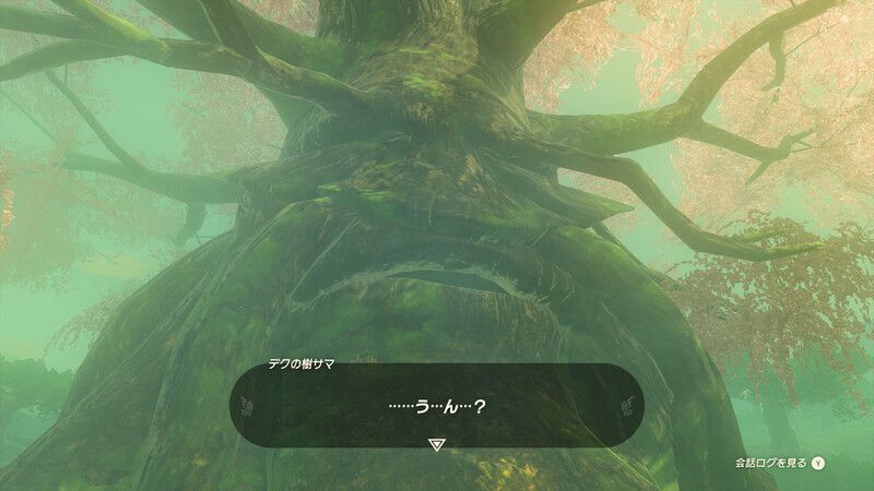 コログの森を解放