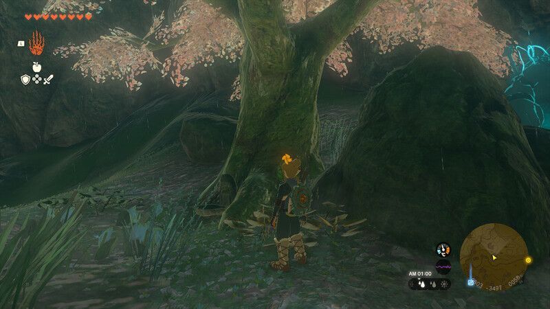 フィローネ地方の桜の木