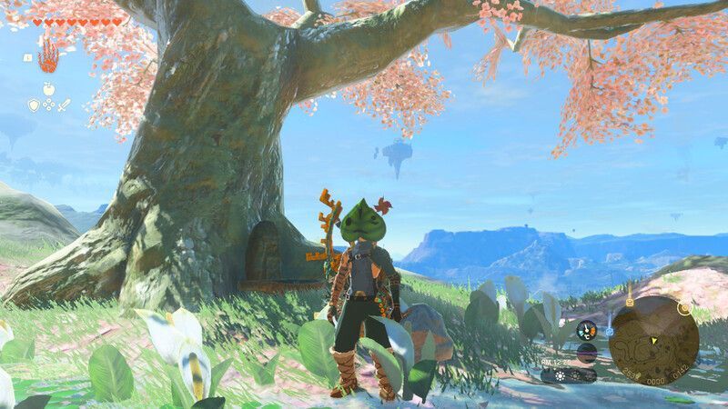 ラネール地方の桜の木