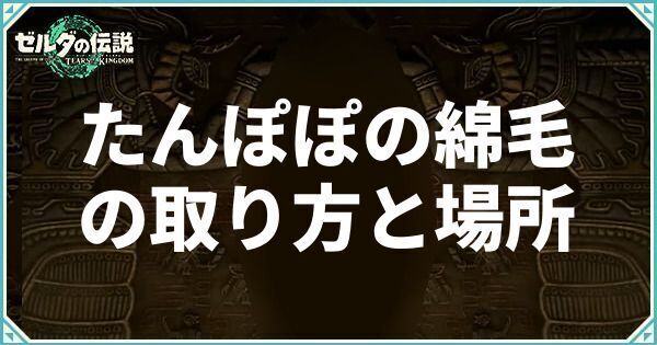 たんぽぽの綿毛の取り方と場所