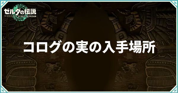 コログの実の入手場所一覧と使い道
