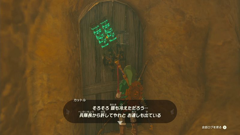 服を着たリンク