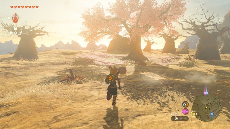 ゲルド地方の桜の木