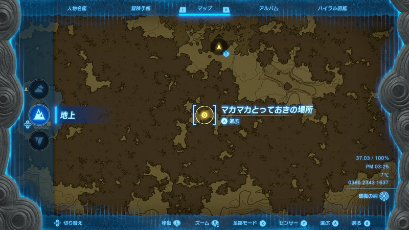 ニンジシの祠拡大マップ