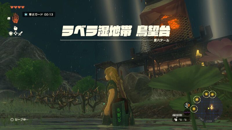 ラベラ湿地帯 鳥望台