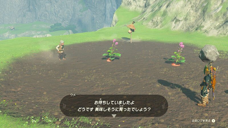 大マックスラディッシュ