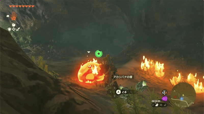 エウンポ高地の洞窟道順