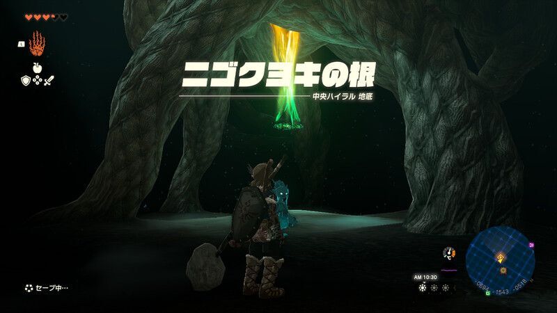 ニゴクヨキの根で辺りを照らす