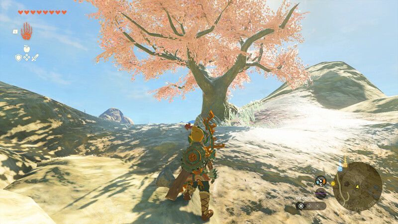 へブラ地方の桜の木