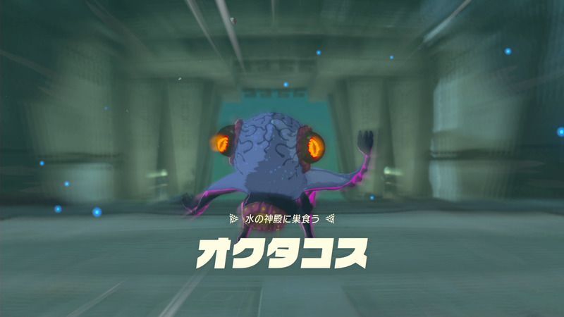 オクタコスの攻略