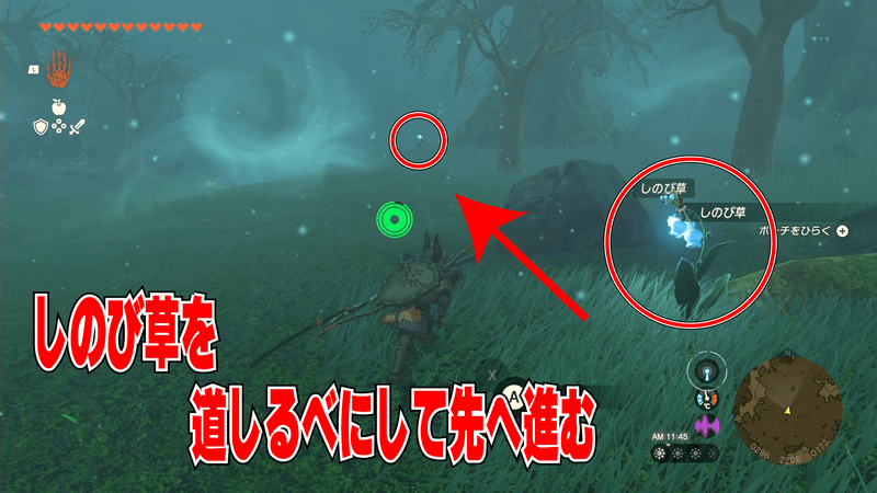 しのび草を道しるべにして進む