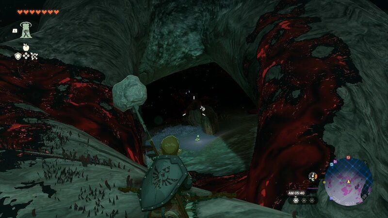 アカリバナの根