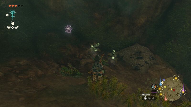 アカリバナの種の画像