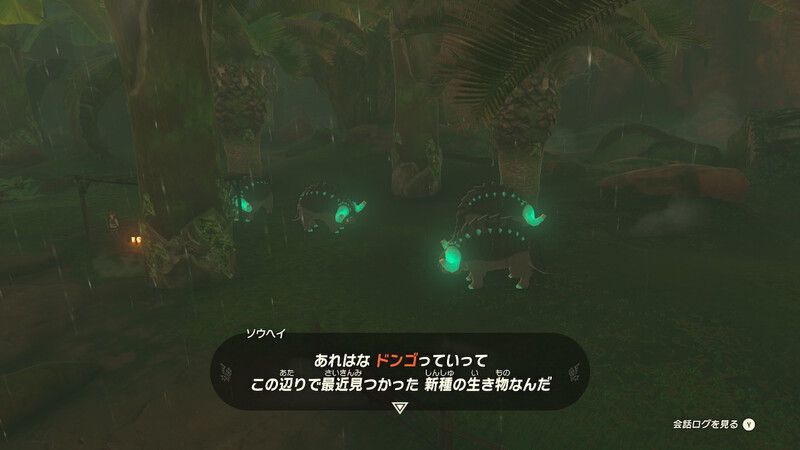 対岸にドンゴが5体
