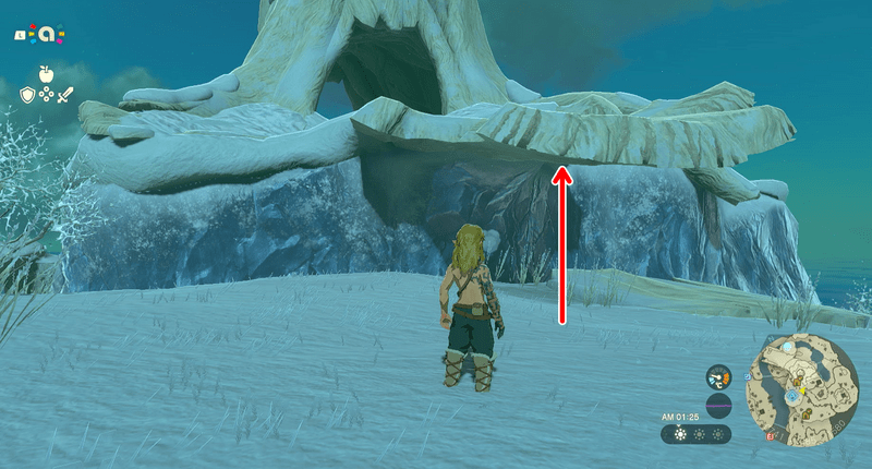 トーレルーフで登る場所