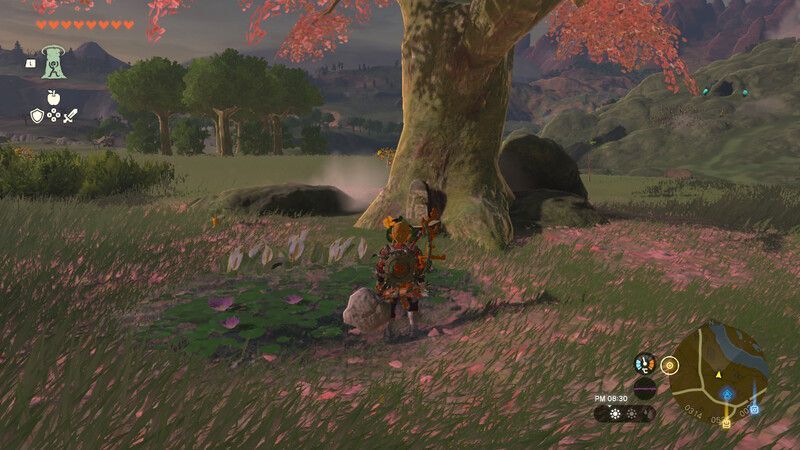 監視砦の桜の木