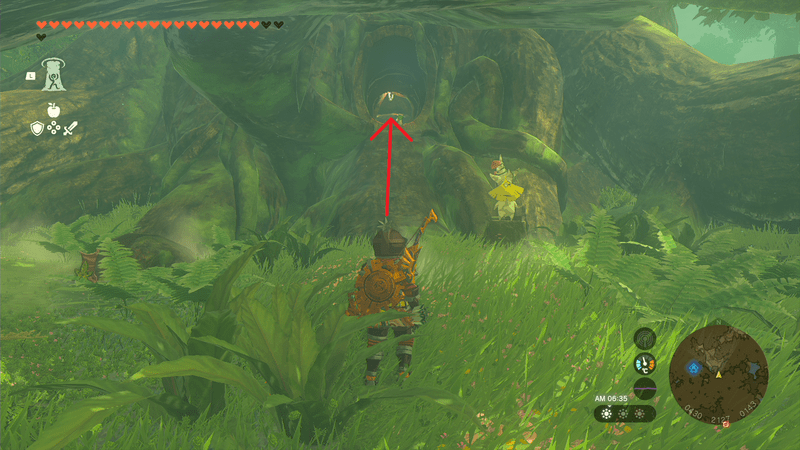 デクの樹サマ内部