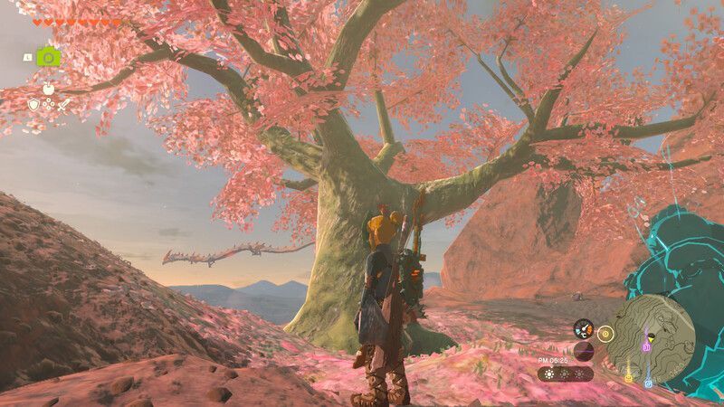 オルディン地方の桜の木