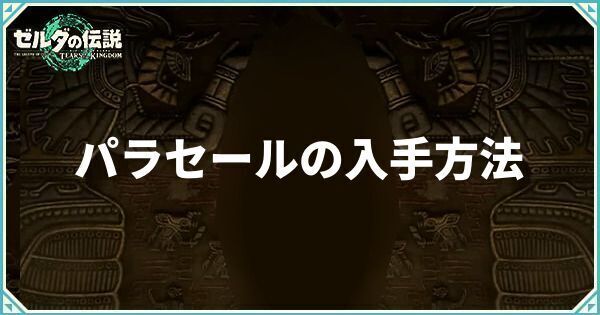 パラセールの入手方法