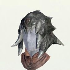 ディアネロヘルム