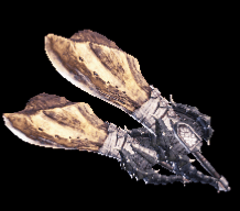 タナトスクラブ