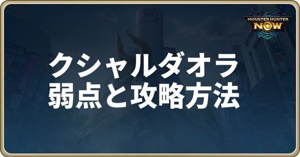 クシャルダオラ攻略