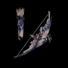 グレイスアロー