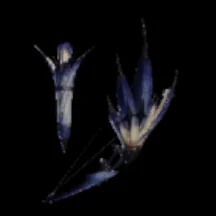 ファーンライク