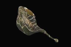 ヒュペル=ダオラ