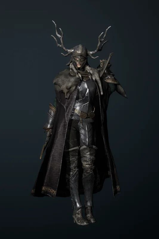 襲撃のニーズヘッグの全体画像