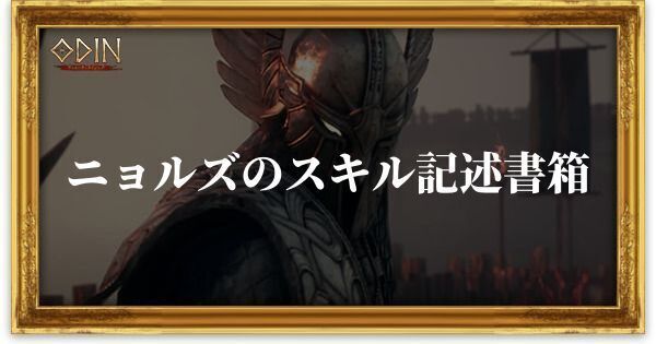 ニョルズのスキル記述書箱のアイキャッチ