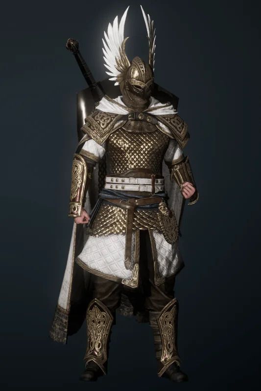 守護のヴァルハラの全体画像