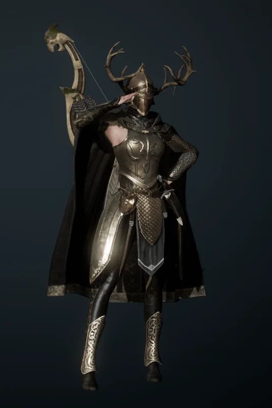 戦闘のヴィーザルの全体画像