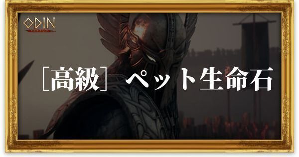 ［高級］ペット生命石のアイキャッチ