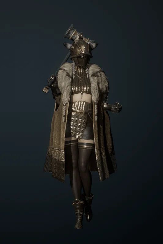 保護のエイルの全体画像