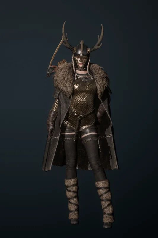 戦闘の征服者の全体画像