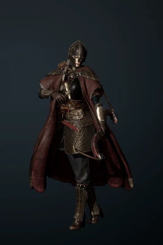 戦闘の放浪者の全体画像