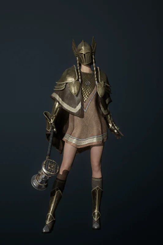 保護のサーガの全体画像