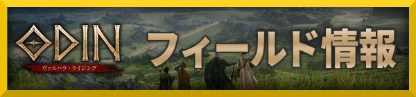 フィールド情報