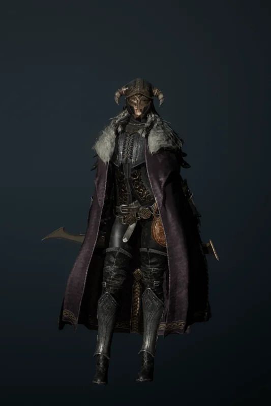 襲撃のゼリームニルの全体画像